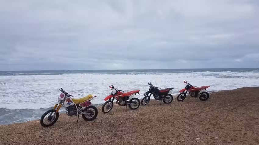 Cabaña Las golondrinas del mar