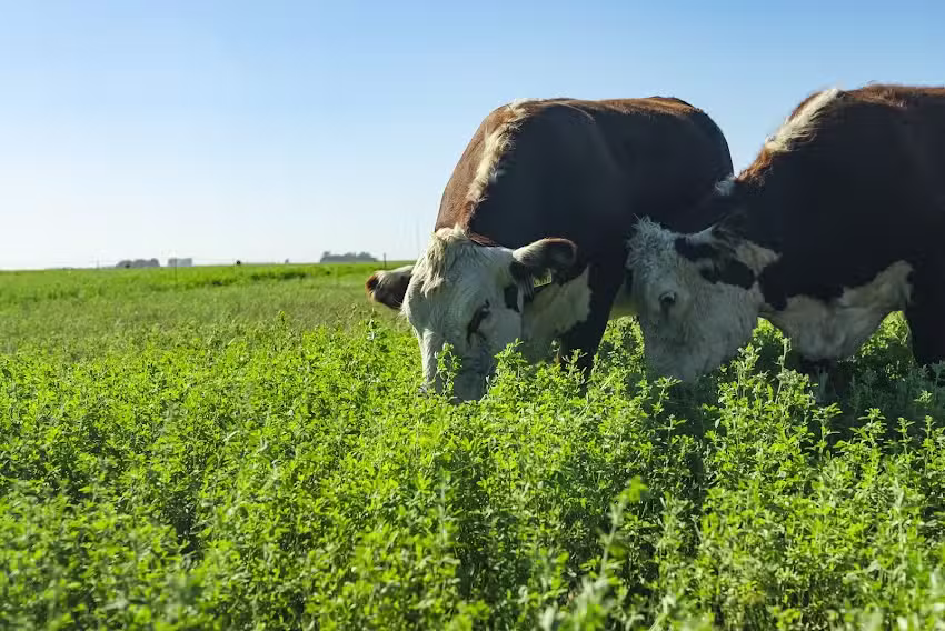 Cabaña Las Tres Marías