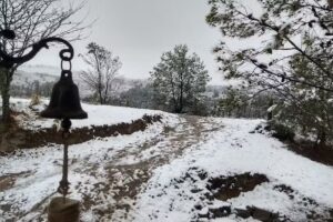 Cabaña las Valerias