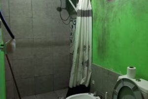 Cabaña “Los Lapachos” Vargas