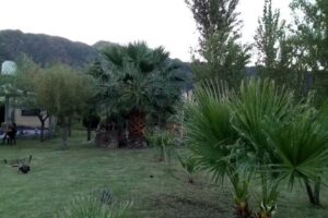 cabaña MADRID bajo astica