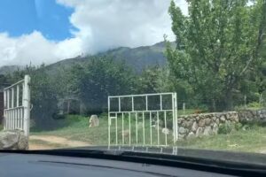 CABAÑA MARIA DELICIa