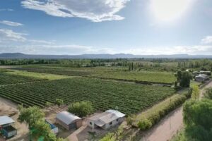Cabaña Mirador de los Viñedos
