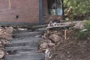 Cabaña Paravachasca