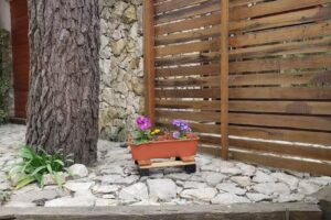 Cabaña Paseo de las luces