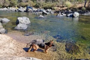 Cabaña Rincón Serrano