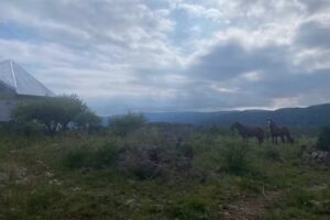 Cabaña rural La Dolores – Desde Usd36