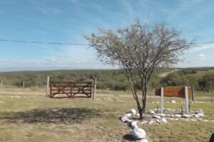 Cabaña Siempre Es Hoy