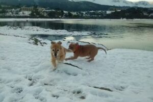 Cabaña tierra del fuego