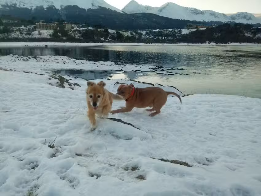 Cabaña tierra del fuego
