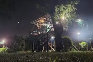 Cabaña Viento Norte