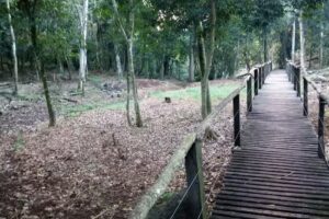 Cabaña y Camping La Susi del Moro