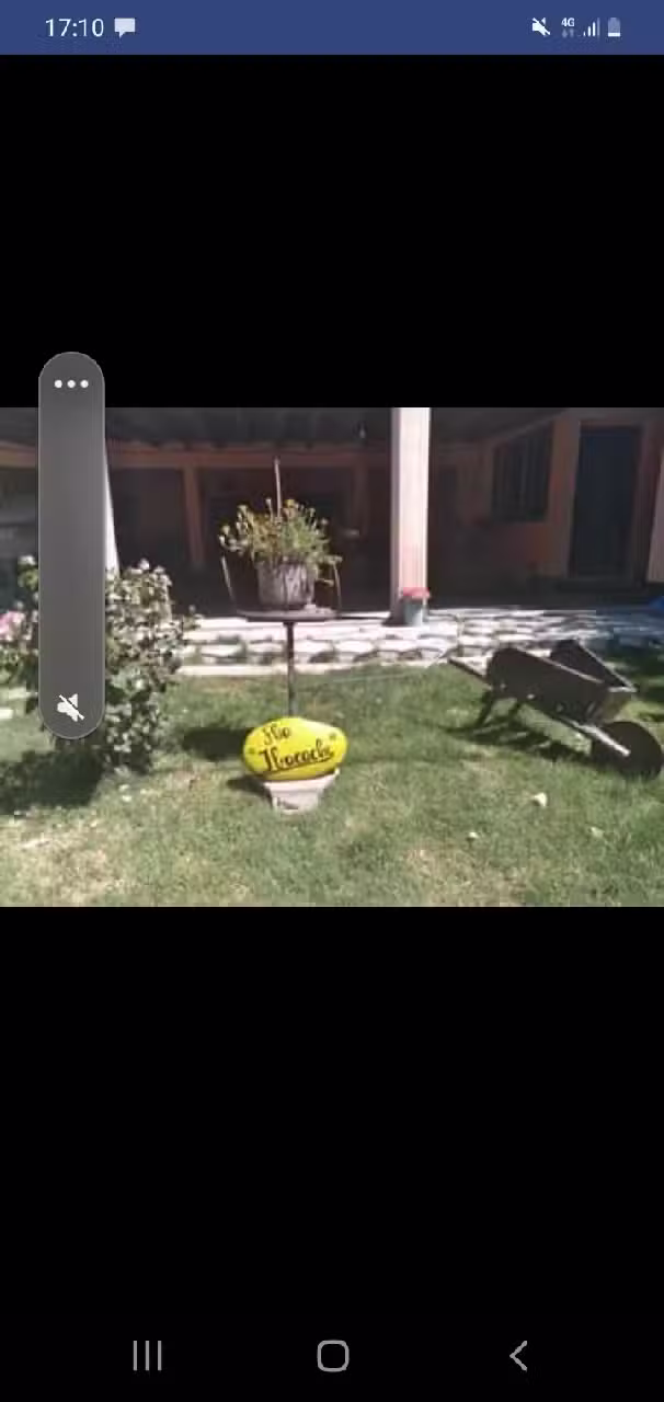 Cabaña y hospedaje “IBACACHE”