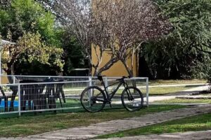 Cabañas – A Pura Vida Home