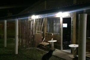 Cabañas Aires del Trapiche