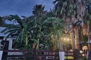 Cabañas Alas del Sol