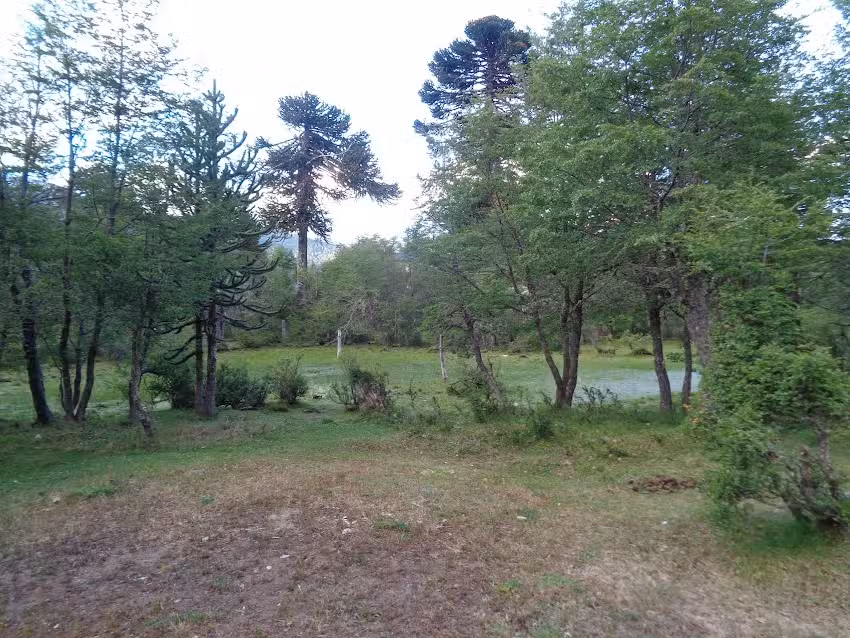 Cabañas Albricias Moquehue