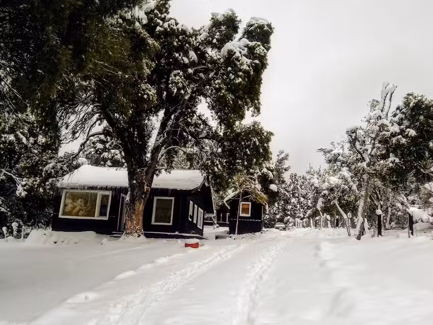 Cabañas Aldea del Bosque