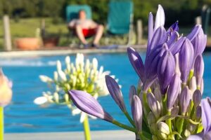 Cabañas Aldea Serrana Balcarce CERRADO PERMANENTE