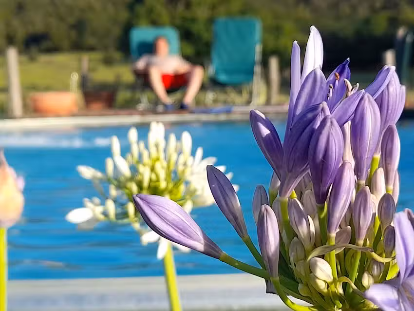 Cabañas Aldea Serrana Balcarce CERRADO PERMANENTE