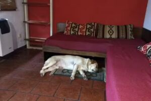 Cabañas Alfar Sol y Mar