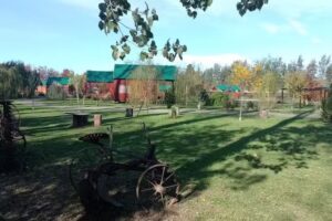 Cabañas Algo con Selva