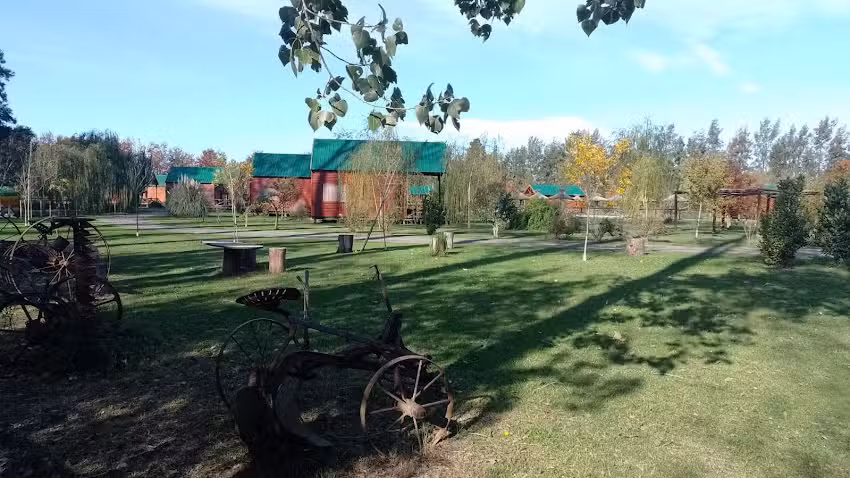 Cabañas Algo con Selva