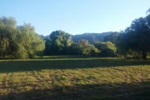 Cabañas Aliwen Luján San Luis