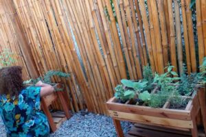 Cabañas Alpinas Obligado