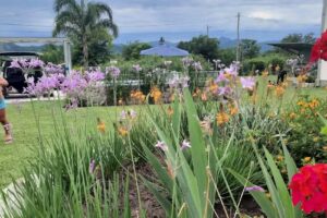 Cabañas Altos De Medeiros