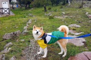 Cabañas Aquí y Ahora