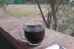 Cabañas Árbol de Nonsacate