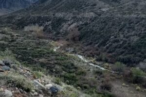 Cabañas Aventurados