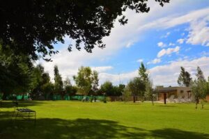 Cabañas Ayres de Cuyo – San Rafael – Mendoza