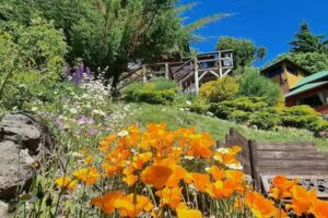 Cabañas Balcón al Lago