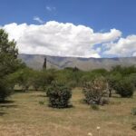 Cabañas Bella Vista