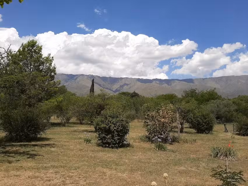 Cabañas Bella Vista