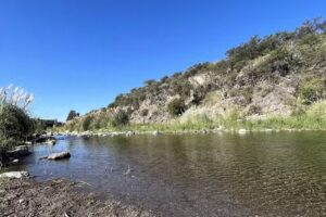 Cabañas Bella Vista