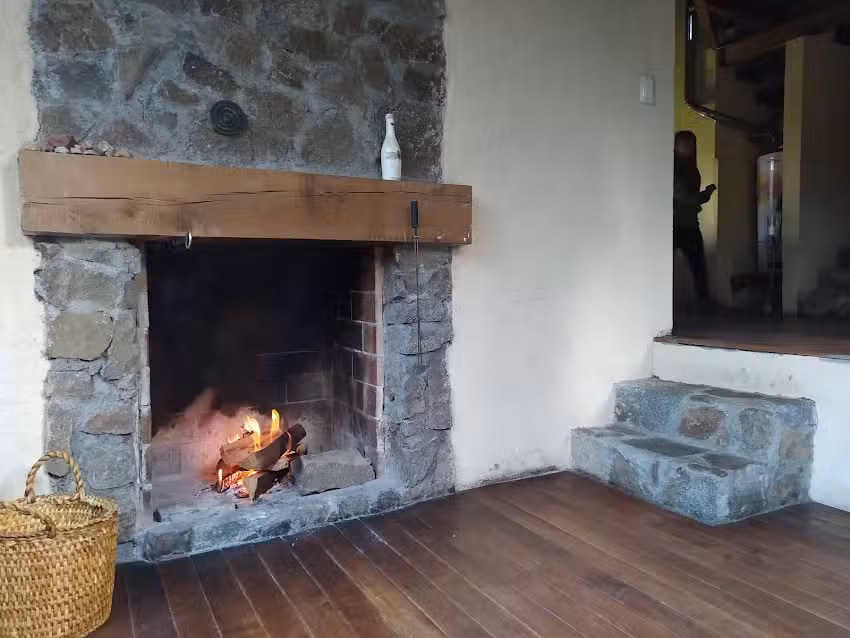 Cabañas Bosque Nativo