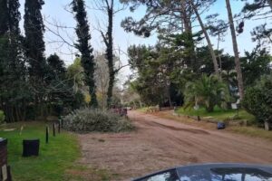 Cabañas Bosque y Mar Cariló