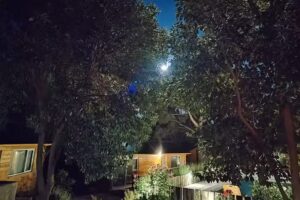 Cabañas Boutique los Cipreses