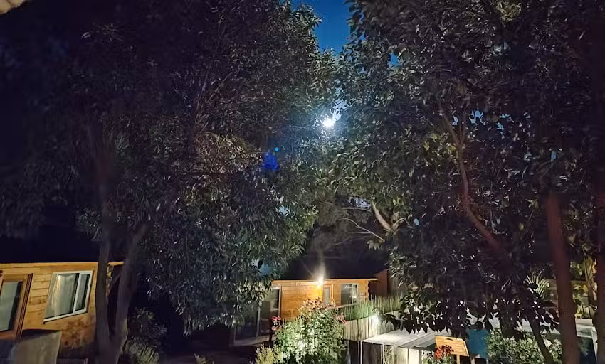 Cabañas Boutique los Cipreses