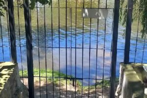 Cabañas Brochero del Valle