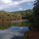 Cabañas Buena Vista