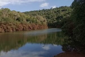 Cabañas Buena Vista