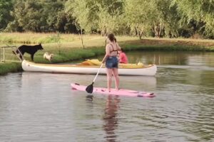 Cabañas Campo Santa Evelyn.