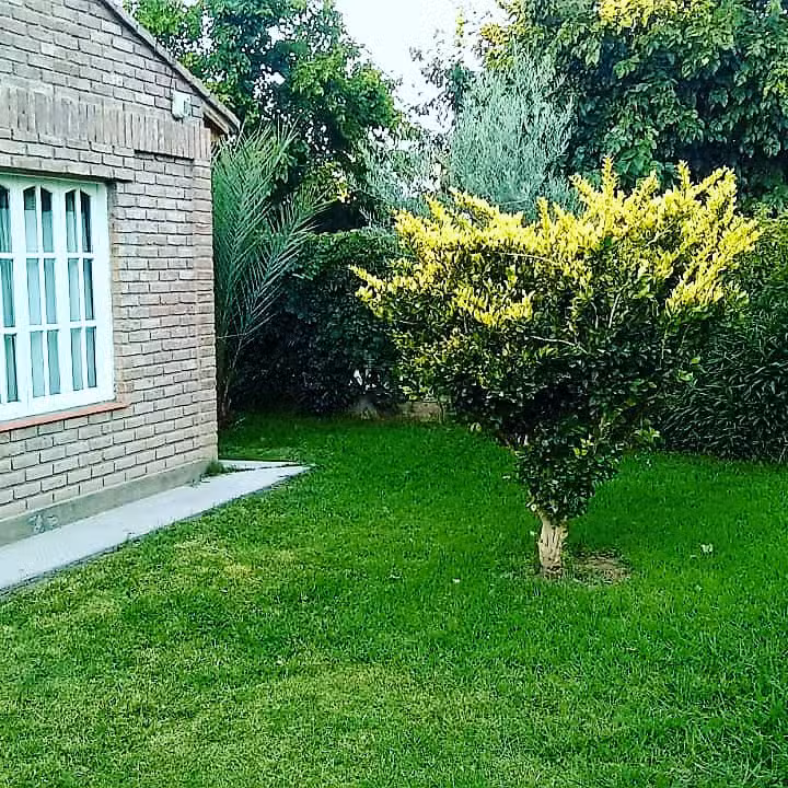 cabañas Capilla Vieja