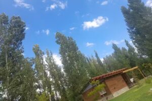 Cabañas Carpe Diem Mendoza