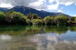 Cabañas Carrileufú