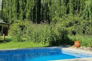 Cabañas Casa Bosque